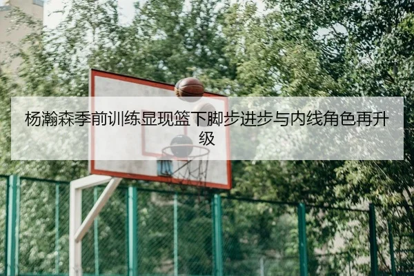 杨瀚森季前训练显现篮下脚步进步与内线角色再升级