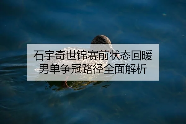石宇奇世锦赛前状态回暖 男单争冠路径全面解析